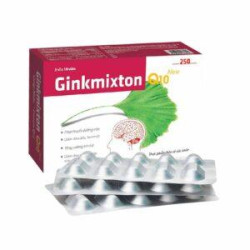 Ginkmixton Q10